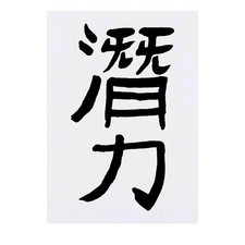 'Chinese Writing' Temporary Tattoos / Transfers TO00018771 