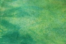 Grasshopper HAND DYED RUG HOOKING WOOL 1/8 Yd Spotted Cur