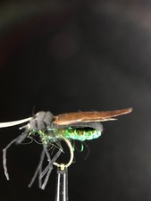 Ultra realistic segmented translucent body bug beetle fly set