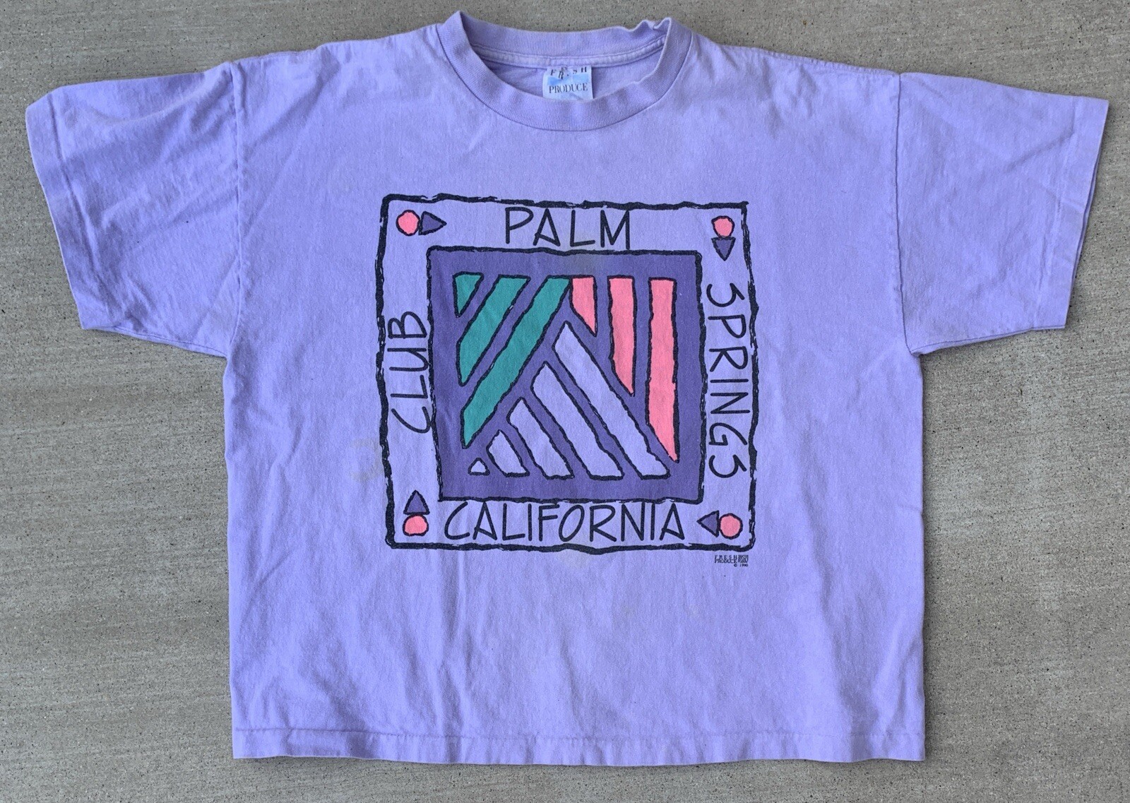 Vintage Club Palm Springs California One Size Crop Top T Shirt One Size 1990s image 2