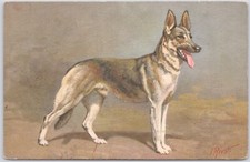 Alsatian Wolfhound,Berger Alsatien, German Shepherd Dog, Postcard