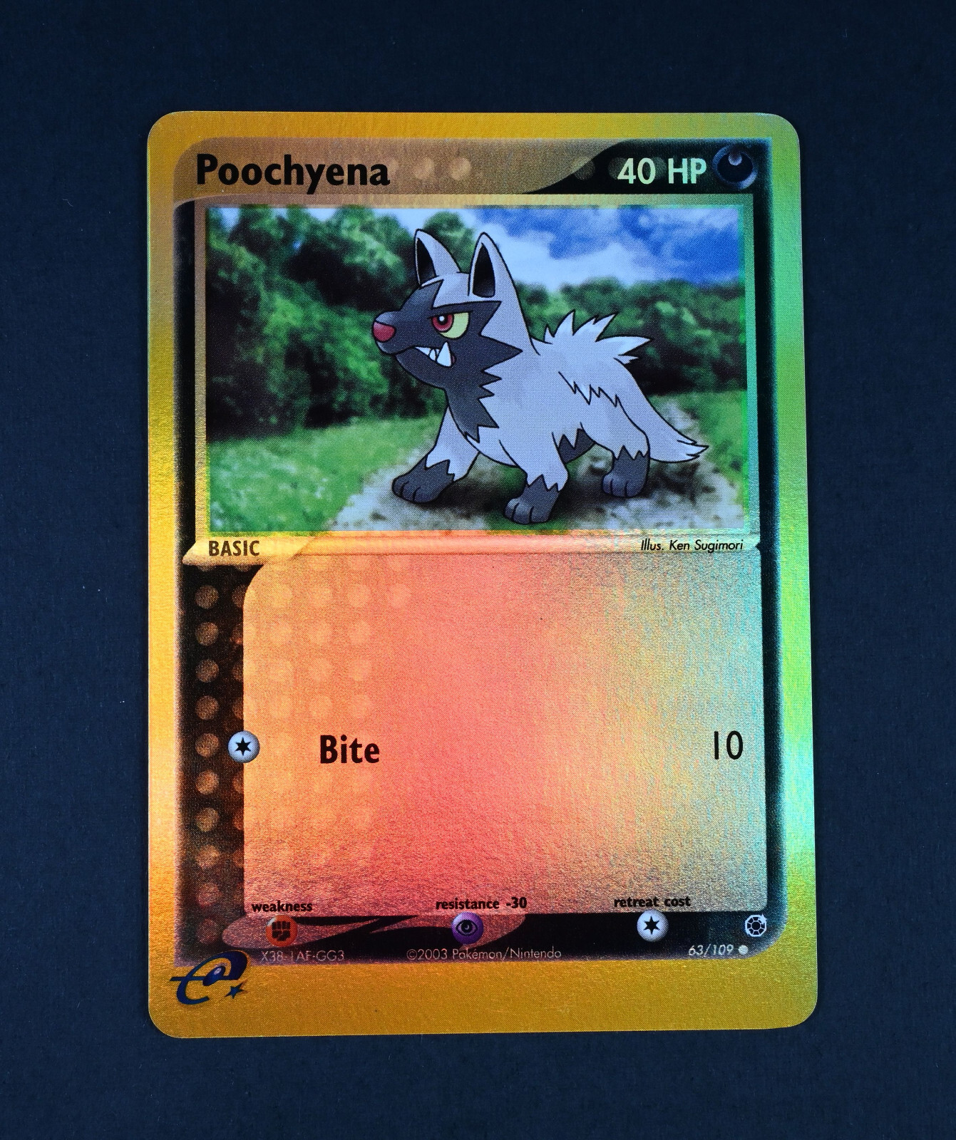 NM Poochyena  Reverse Holo 63/109 Ruby and Sapphire Pokemon Card
