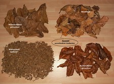 Walnussbl&auml;tter / Buchenlaub / Mischlaub - getrocknet / Laub, Bl&auml;tter, Asseln