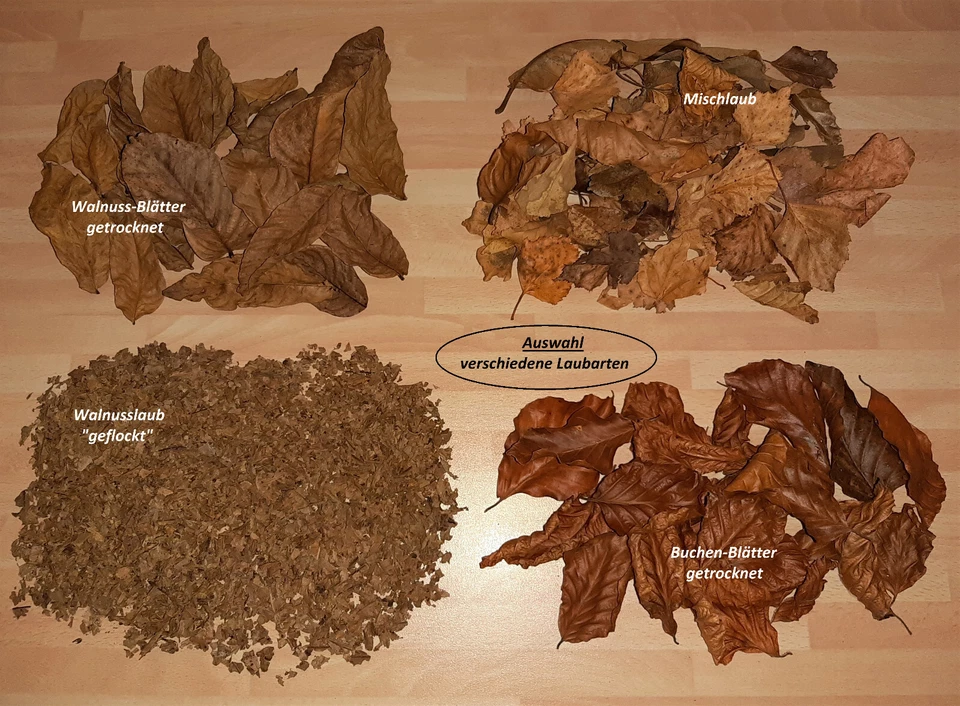 MARKENLOS Walnussblätter / Buchenlaub / Mischlaub - getrocknet / Laub, Blätter, Asseln