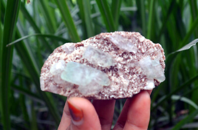 apophyllite w/ chalcedony matrix minerals specimen m-3