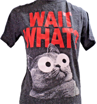 T-Shirt Well Worn Cat Bulging Eyes  Wait What?  Youth Boys Charcoal Black Kids L