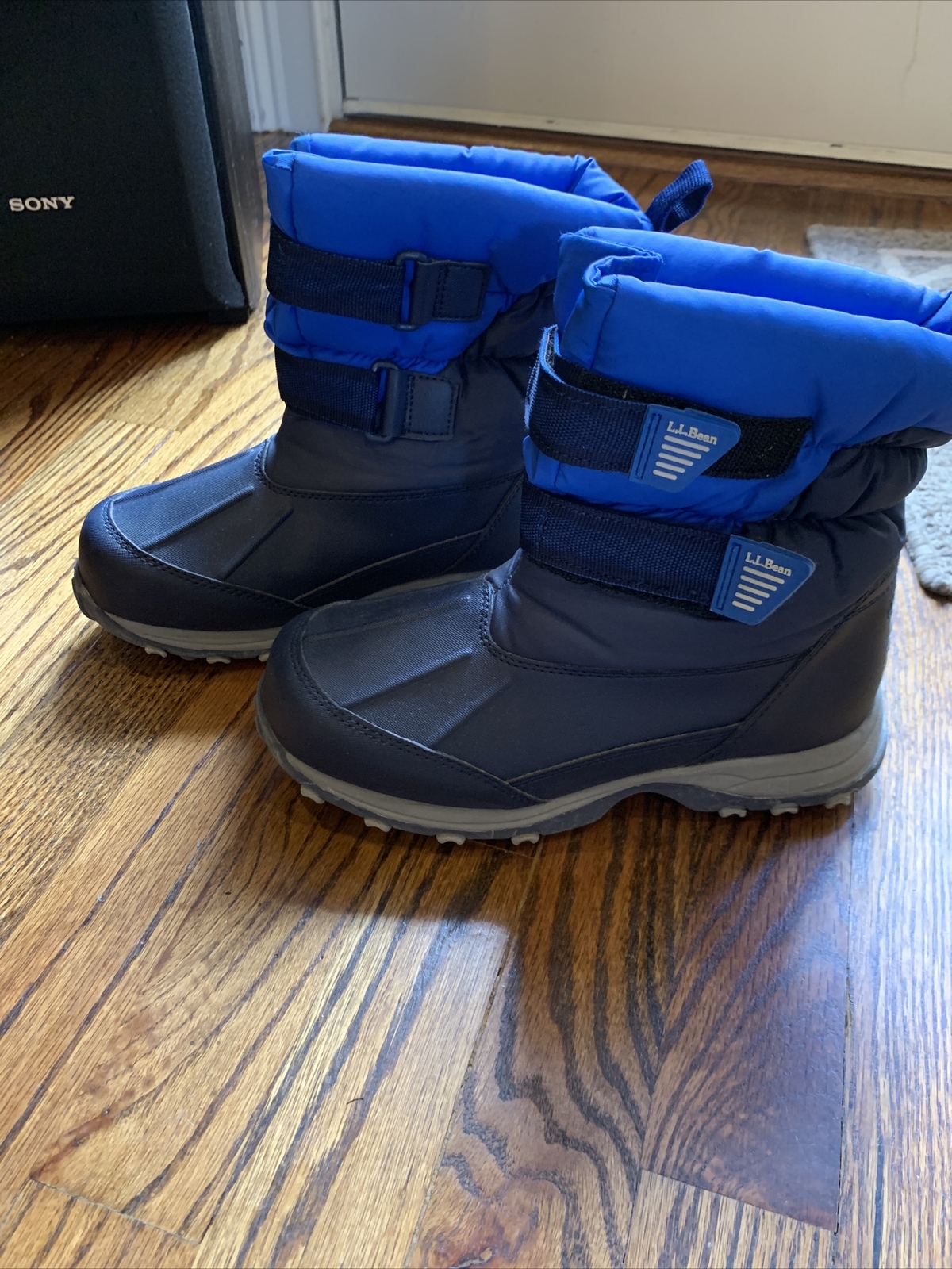 boys trainers size 12