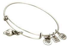 Alex and Ani Zest for Life SILVER  Charm Bang...