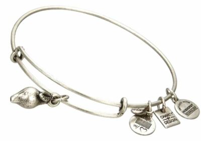 Alex and Ani Zest for Life SILVER  Charm Bangle bracelet cbd14zflrs