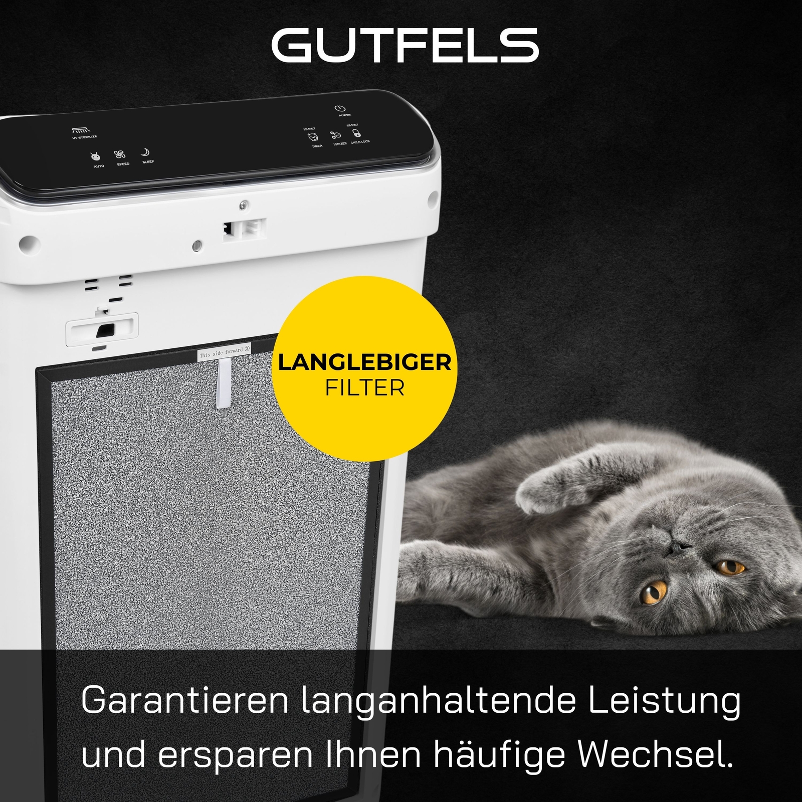 Bild 5 von 7