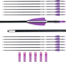 Pack of 12 Bowsoul Target Arrows Carbon Safe Blunt Point Recurve Bow Purple 28"