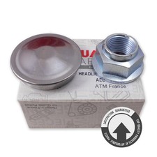 RADNABE MUTTER SCHUTZDECKEL BREMSSCHEIBEN RADLAGER HINTEN FÜR ESPACE IV 4 (02-)