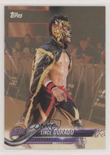 2018 Topps WWE Then Now Forever Bronze Lince Dorado #146 0x1