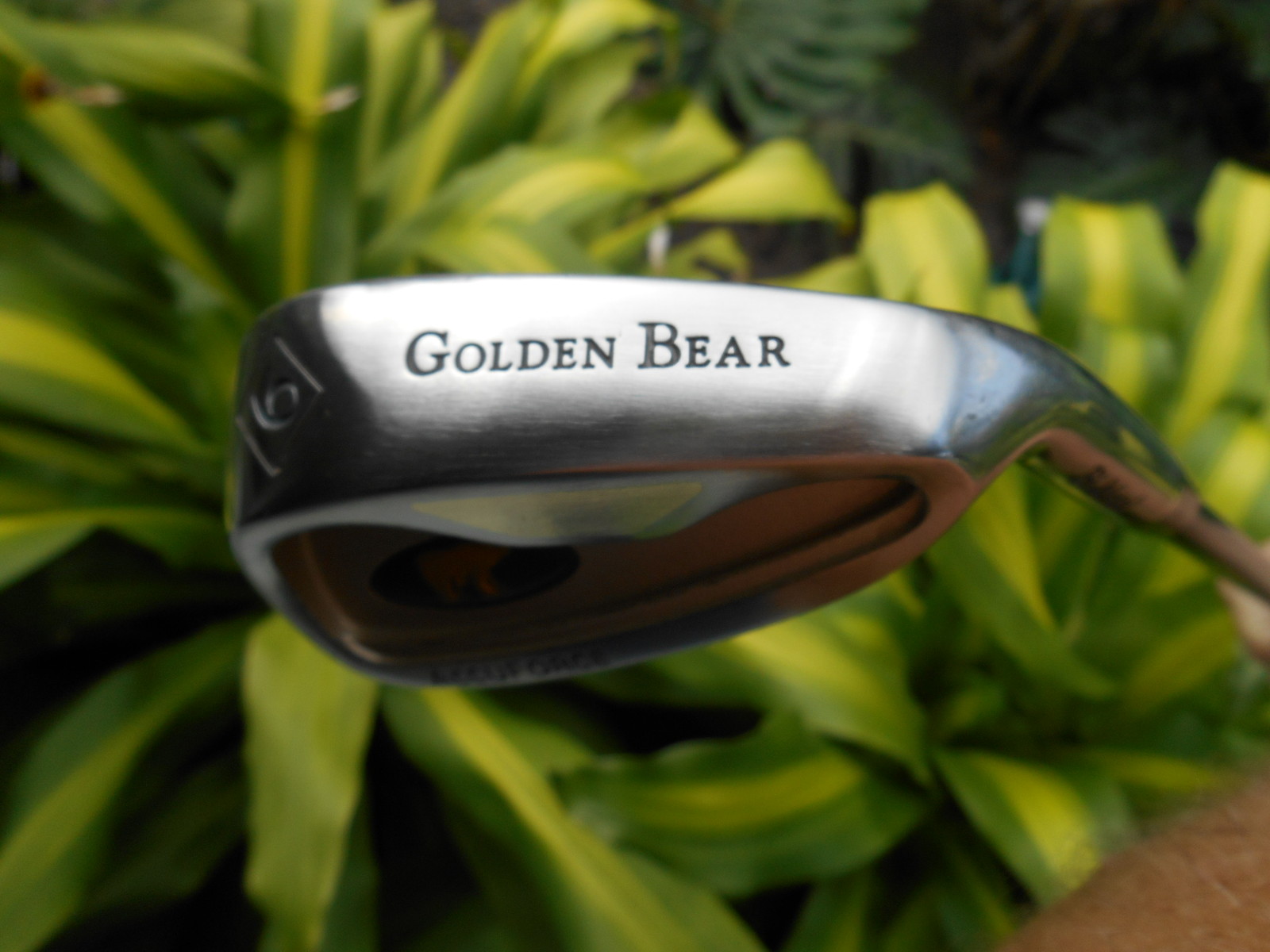 Ladies GOLDEN BEAR ACCUFORCE 9 Iron, OPTIFLEX Graphite Shaft eBay