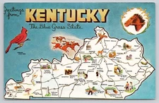 Greetings from Kentucky Blue Grass State Pictorial Map Horse Cardinal Postcard
