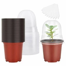 Nursery Pots with Humidity Dome 4"Soft Transparent Plastic Gardening Pot, 30 Set
