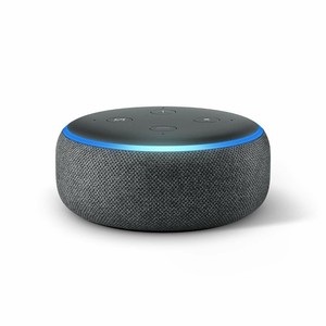 ebay echo dot 3