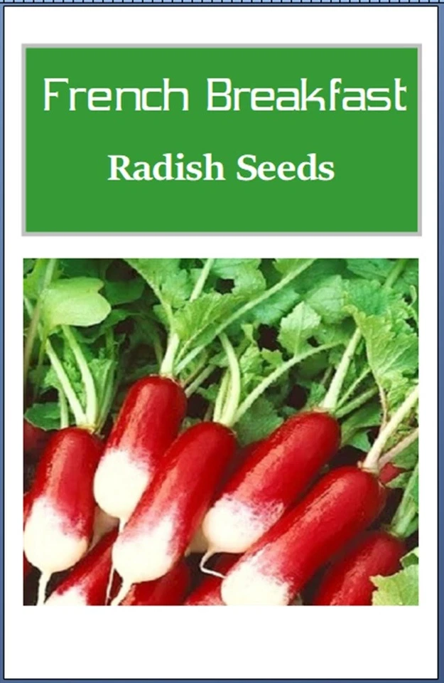 Semillas de rábano francés para desayuno | Semilla de rábano no transgénico | Semillas de jardín de reliquia Foto 2 de 2