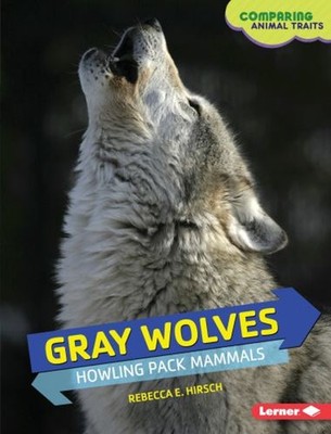 Gray Wolves : Howling Pack Mammals Library Binding Rebecca E. Hir
