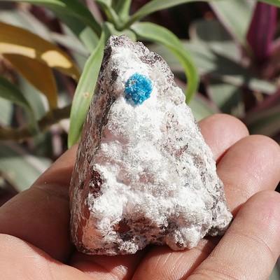 Geode Heulandit 55g Metrix Basis Mineralien Mit Blauem Cavansit Kristall