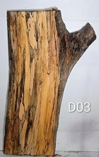 D03 Spalted Blackline Maple Live Edge Slab tabletop, 46x25x1 5/8