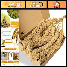 Natural Spray Millet Treat for Birds - Parakeets, Cockatiels, Finches, Parrots,