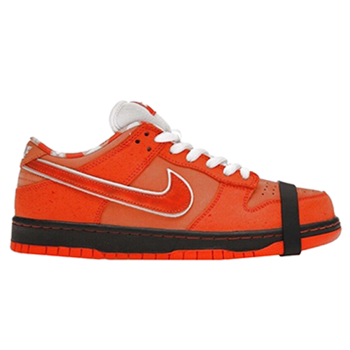 Nike Concepts x Dunk Pro SB Special Box Low Holy Grail for Nike Concepts x Dunk Pro SB Special Box Low Holy Grail for