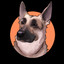 Nick Nack's Full Frontal Attack