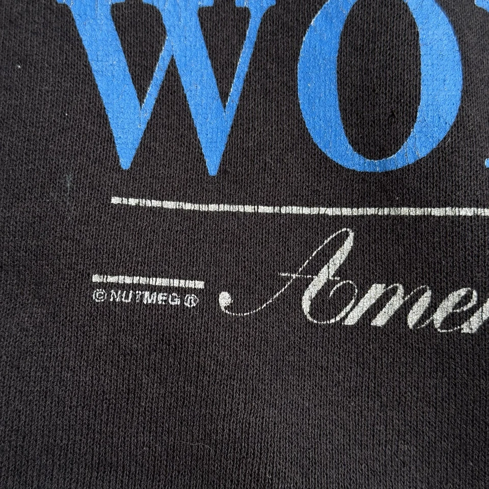 Sudadera de Colección Worcester Ice Cats Cuello Redondo Hombres XL Negra AHL Ligas Menores Años 90 Foto 4 de 4