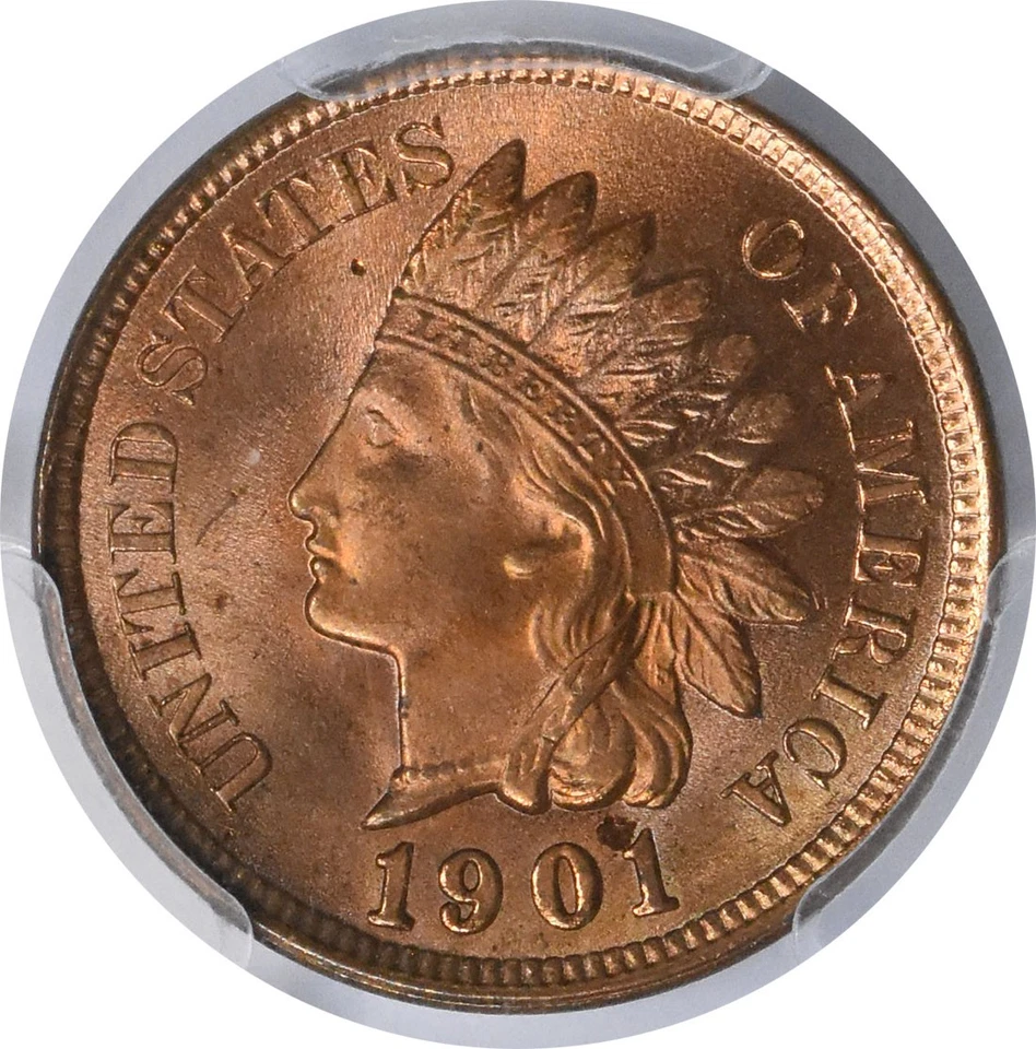 1901 Indian Cent MS66+RD PCGS - Image 3 of 4