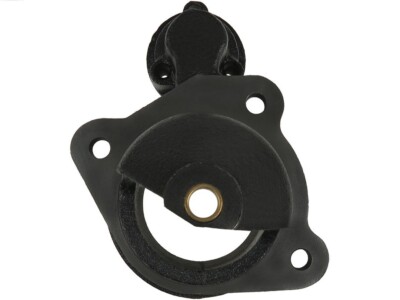 AS-PL SBR0002 Starterdeckel, Vergaser