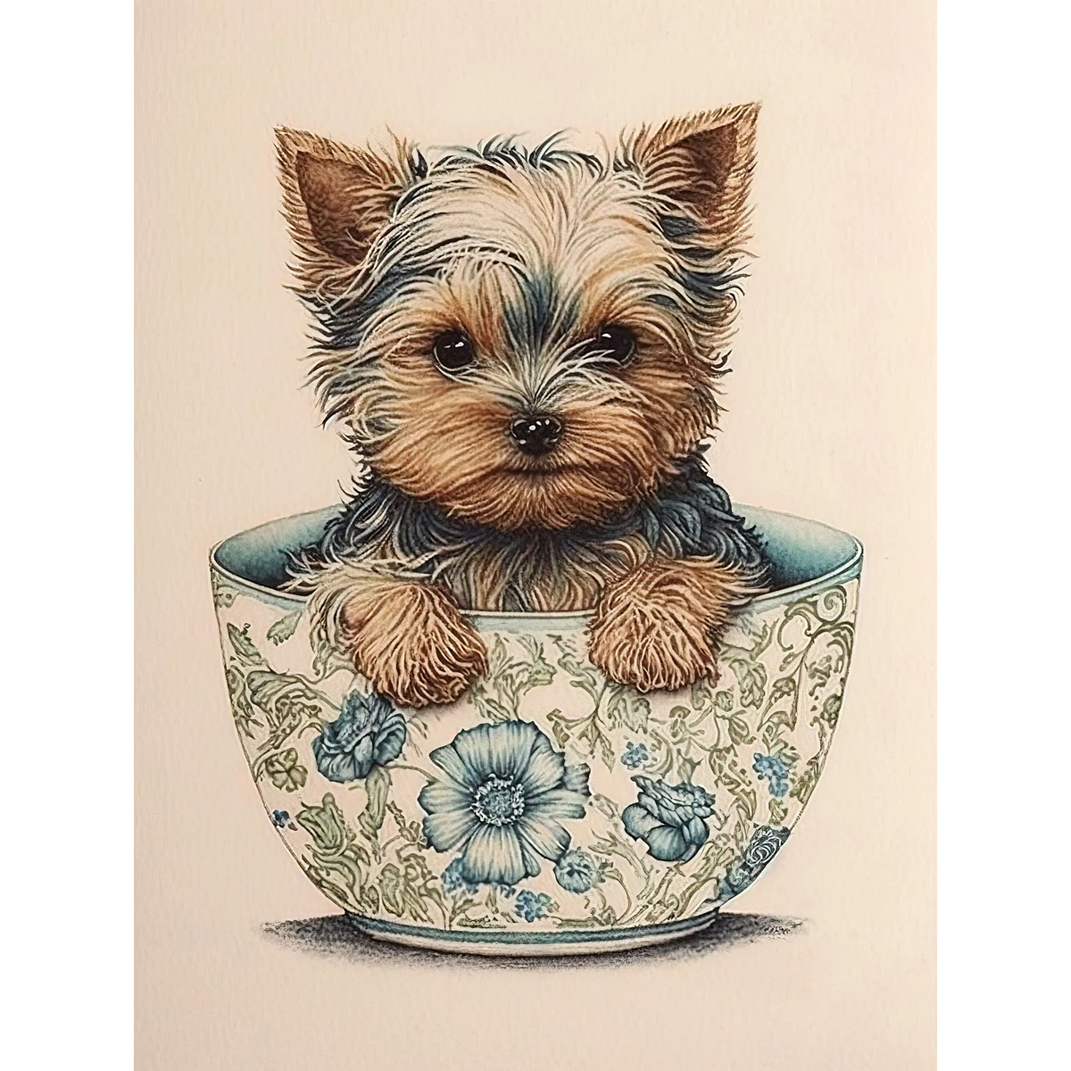 Cute teacup sale yorkies