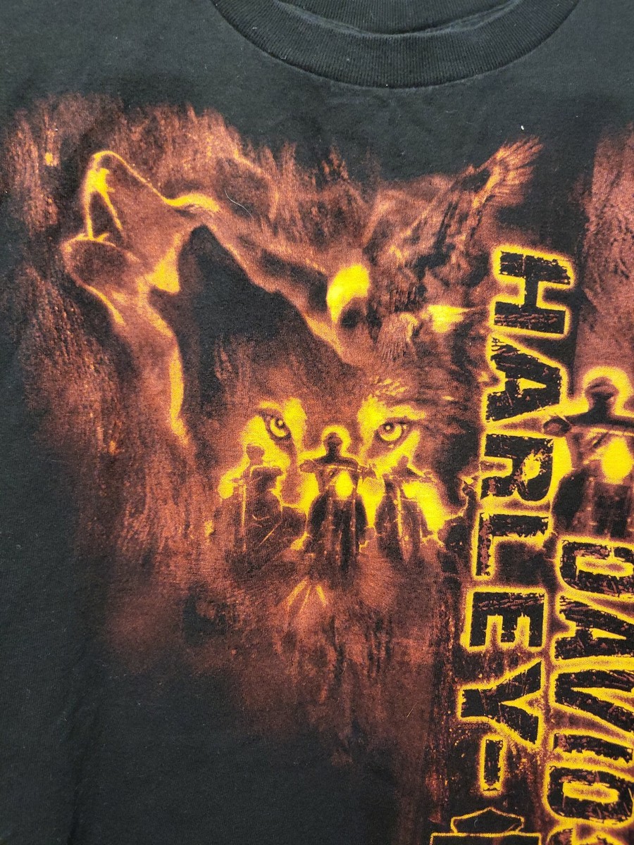 HARLEY DAVIDSON Imagewear T-shirt, size LARGE L ZIPS 45TH PARALLEL