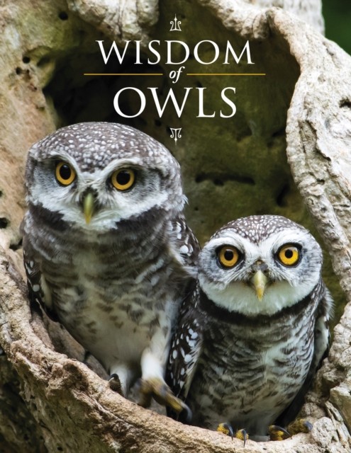 Wisdom of Owls (Hardback Book)