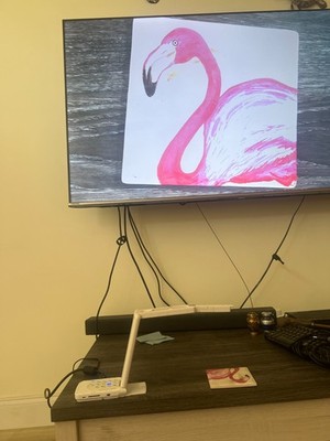 Elmo MX-P3 True 4K Ultra HD Visual Presenter