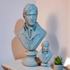 Figura Fanart Señor Darcy Pintada con aerografo 9.8 inch busto