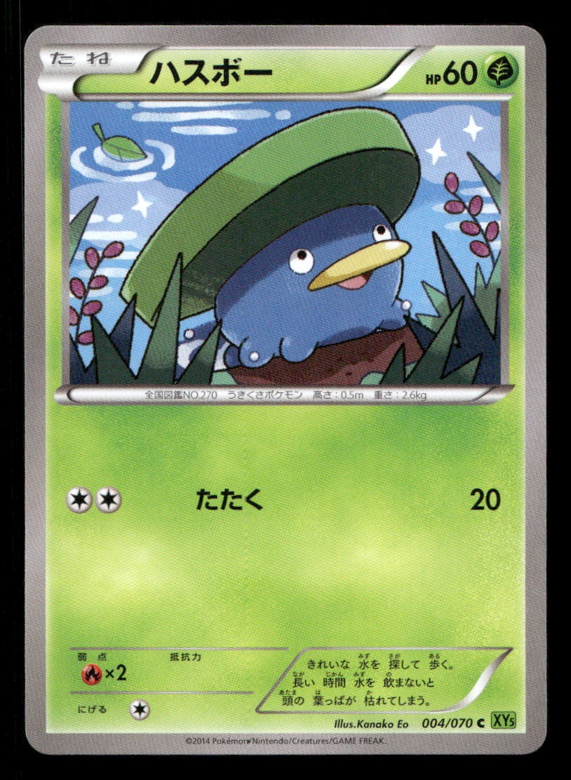 Lotad 004/070 Tidal Storm Japanese NM/M Pokemon
