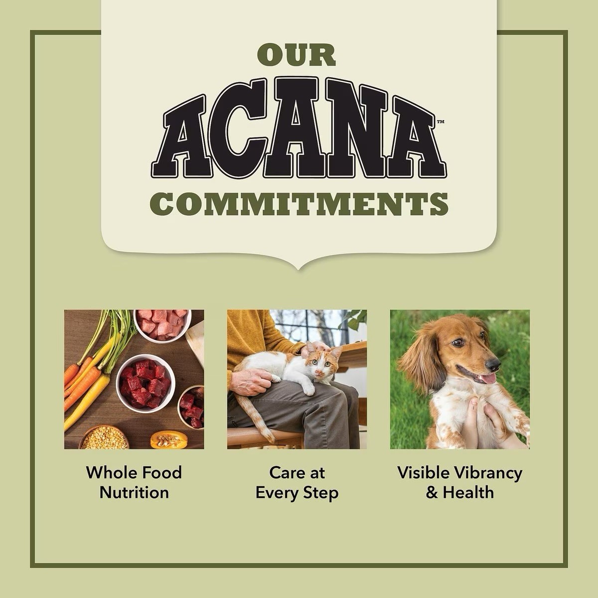 14oz Acana Freeze Dried Raw Free-Run Chicken Recipe Dog Food/Topper