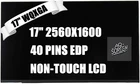 17" 240Hz LCD Screen Display for MSI Raider GE78HX 13V 13VI 13VH 13VX 13VH-070US