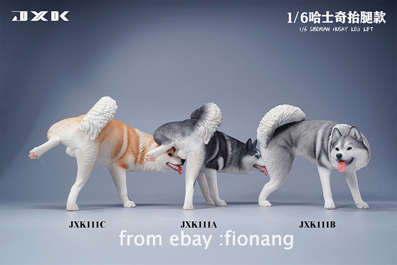 JXK 1/6 Husky Half Squat/Leg Lift Static Model Handmade GK | eBay