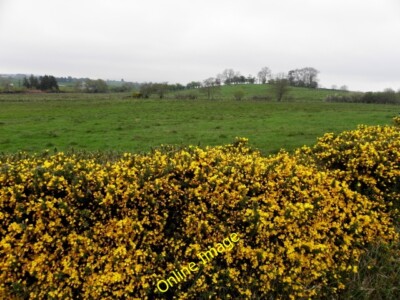 Foto 6x4 Whins, Corkill Drumshanbo\/H7378 Looking ENE c2014