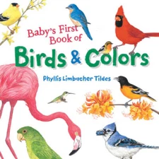 Baby's First Book of Birds & Colors - Board book - VERY GOOD