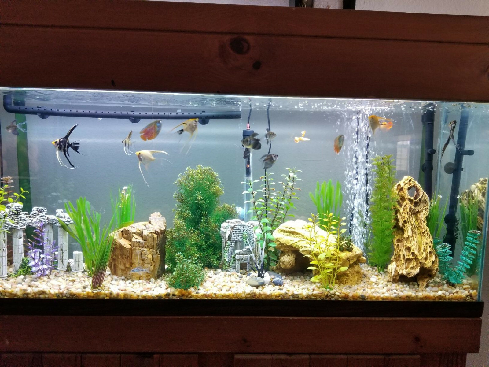 150l fish tank