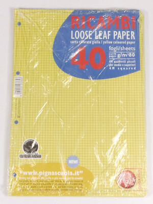 Carta Riciclata A4 A Quadretti - 100 Fogli, 5x5, 90g, Con Strisce Colorate, Per Raccoglitori E Scuola