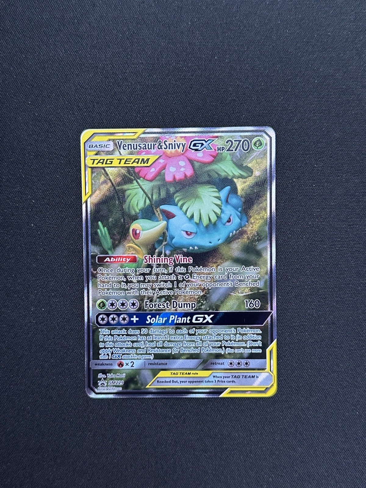 Venusaur & Snivy GX SM229 Sm Holo