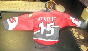 dany heatley ottawa senators jersey