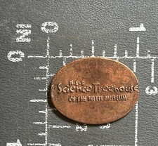 H-E-B Science Treehouse of the Witte Museum San Antonio Elongated Pressed Penny