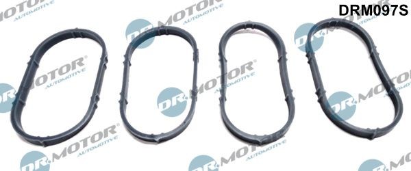 Neu - Dr.Motor Automotive DRM097S Dichtungssatz, AnsaugkrüMmer FüR Dacia Lada-image