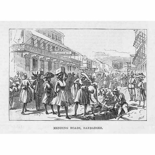 BARBADOS Mending Roads on the Island - Antique Print 1888