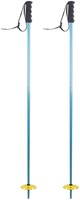 Roxy Dreamcatcher 85 Ski Poles 110cm Turquoise Roxy Dreamcatcher 85 Ski Poles 110cm Turquoise